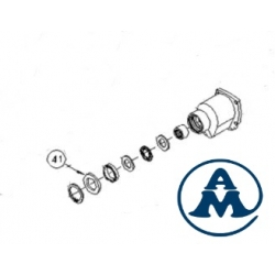 Brtva Rems Picus 060309